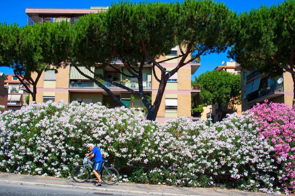 Ostia vista dal sellino: pedalare conviene